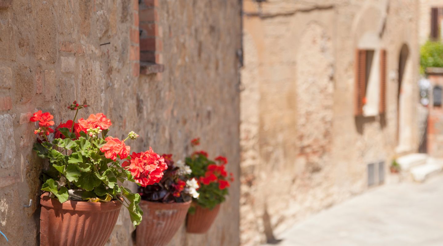 Barberino Val d'Elsa in Fiore