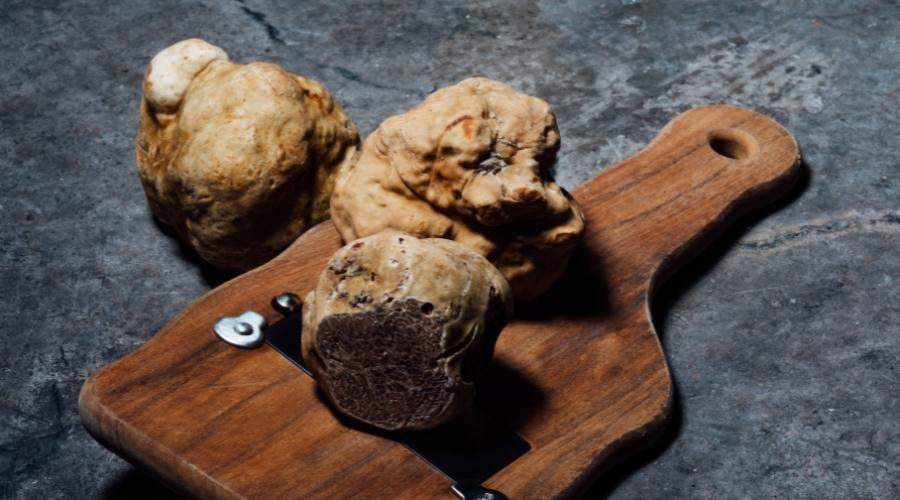 Sagra_del_tartufo_San_Miniato