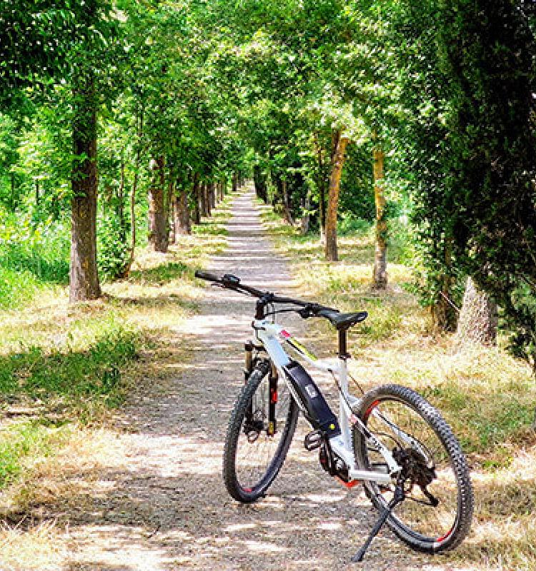 VillaIlPoggiale_blog_IMG_20210609_144634_cop.jpg