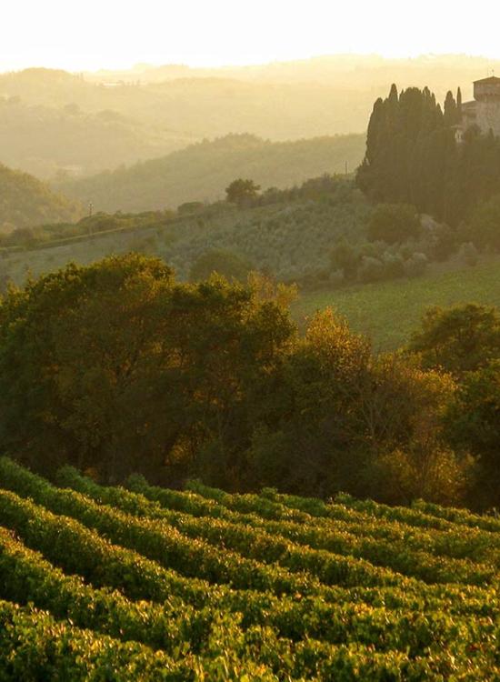 Villa Il Poggiale - Il Chianti