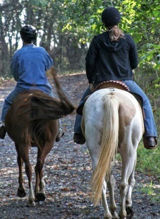 Villa Il Poggiale - Il Chianti